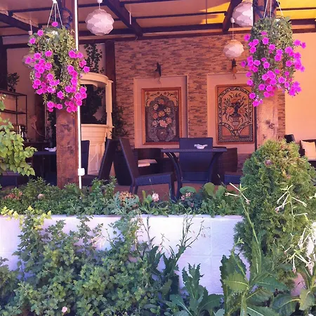 Homestay Voila